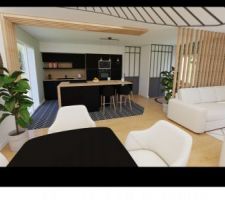 Projet cuisine : j'h&eacute;site encore entre le noir et le blanc