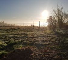 Un matin de Novembre : éveil de la nature sous un beau soleil d?automne