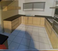 Vue de la cuisine 
en bas a gauche un meuble de 120*60 avec plan en granit noir en 150*90.