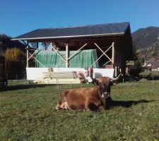 Parc à vaches autour de La Bistorte