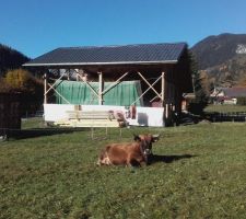 Parc à vaches autour de La Bistorte