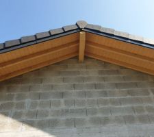 Peinture des débords de toit, couleur bûche.