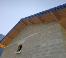 Peinture des débords de toit, couleur bûche.