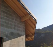 Peinture des débords de toit, couleur bûche.