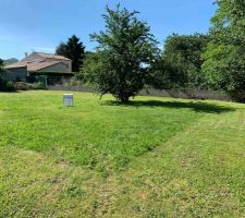 Le L de pelouse plus haut et plus vert sera l'implantation de la maison.