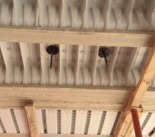 R&eacute;servation tr&eacute;mie Ribo T-one - Oc R&eacute;sidences