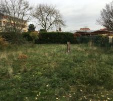 Terrain avant