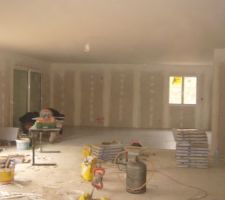 Plafond peint mais a refaire!!