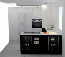Cuisine achetée