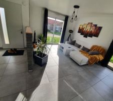 Entrée + vue salon