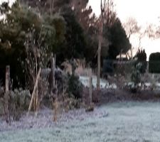 Premières gelées au jardin