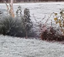 Premières gelées au jardin