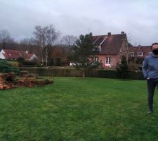 Troncs d'arbres &agrave; enlever