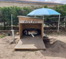 Le gardien plus de 80 kg le bébé