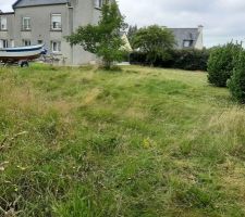 &Eacute;tat du terrain avant un bon d&eacute;broussaillage