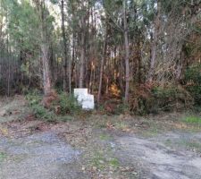 Zone actuel du lotissement 1