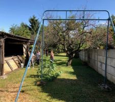 Voici le jardin au moment de l'achat (738M2),