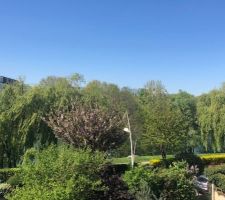 Vue depuis la maison (nous en sommes tombé amoureux)