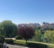 Vue depuis la maison (nous en sommes tombé amoureux)