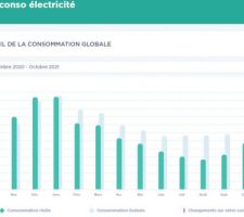 Consommations électriques de 2020 par mois.