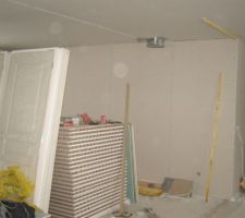 Garage termin&eacute; et conduit de chemin&eacute;e