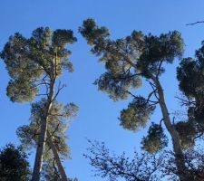 Aux alentours