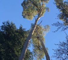 Aux alentours