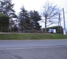 Vue exterieur (reste plus qu'un arbre!)