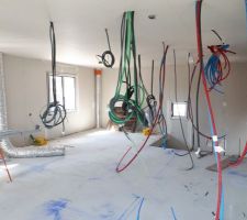 Vue de l'étage avec placage extérieur et plafond terminé