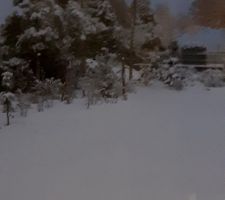 Première neige sur le jardin