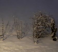 Première neige sur le jardin