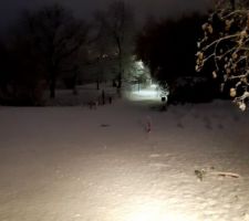 Première neige sur le jardin