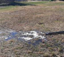 Epandage du lisier sur le terrain. Environ 20 à 30m3 pompés et épandus en une semaine.