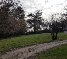 Le terrain avant la division parcellaire