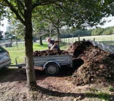 Le bon fumier de 3 ans directement à la ferme très bon pour fertiliser le jardin et potager