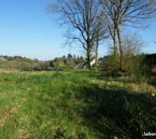 Cette semaine, abattage des arbres sur la droite.