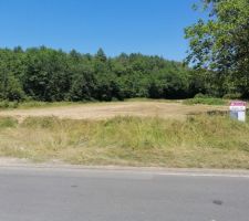 Notre terrain neutre en attente de bornage + panneau MCA