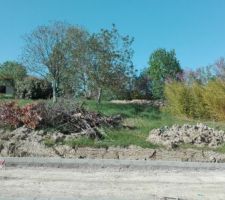 Terrain avec vue d'en bas