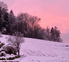 Coucher de soleil Rose et blanc