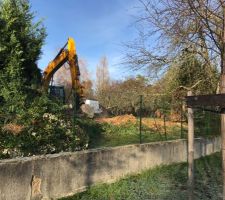 D&eacute;but de l?abattage de la haie et arbres en vue de l?implantation de la maison