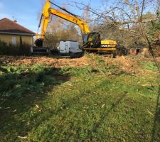Début de l?abattage de la haie et arbres en vue de l?implantation de la maison