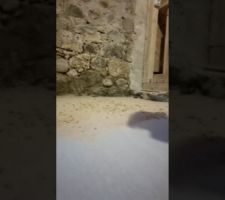 Juillet 2020: La galère de laisser le livreur de pellets qui a essayé de rentrer 5tonnes dans un silo de 4T5!  Photos tirées de l'épisode 26 de - La rénovation de Koggy - visible sur Youtube sur ce lien : https://bit.ly/KoggyEP26