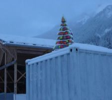 Le sapin 2020, dans le paysage de début d'hiver