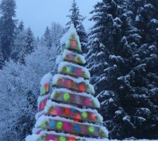 Le sapin 2020, dans le paysage de début d'hiver