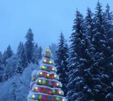 Le sapin 2020, dans le paysage de début d'hiver