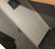 Mes portes peintes en gris pour changer .