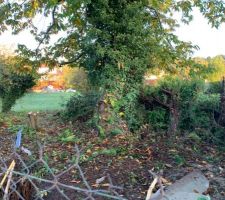 Cr&eacute;ation de l?entr&eacute;e de terrain et d&eacute;but du nettoyage