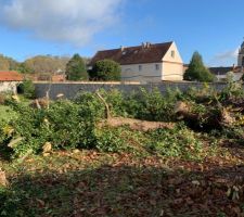 Abattage d?un ch&acirc;taignier de 10m ? (pas le choix il se trouve en plein milieu de l?entr&eacute;e)