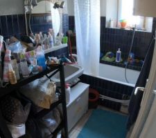 Juillet/Aout 2020: Sdb RDC Avant travaux... Photos tirées de l'épisode 27 de - La rénovation de Koggy - visible sur Youtube sur ce lien : https://bit.ly/KoggyEP27