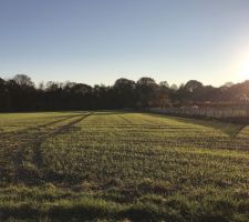 Notre terrain de 35 ares en pleine nature